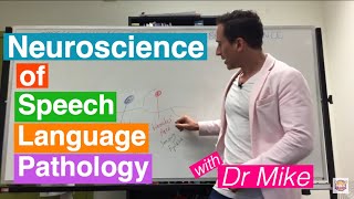 Neuroscience of Speech Language Pathology SLP [upl. by Shepley977]