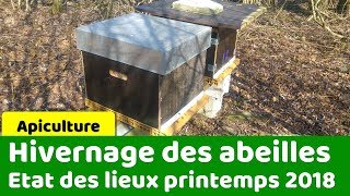 Sortie dhivernage pour les abeilles [upl. by Ynafets]