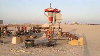 PCP pump Wellhead [upl. by Connie]