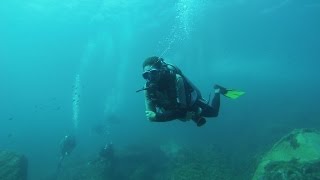 Mergulho de Cilindro em Fernando de Noronha [upl. by Gussi770]