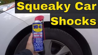 How To Fix Squeaky Car ShocksEASY Repair For A Vehicles Suspension [upl. by Netsirhk570]