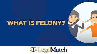 What is a Felony [upl. by Mckee903]