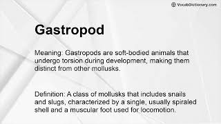 Gastropod Meaning [upl. by Ainoloppa]