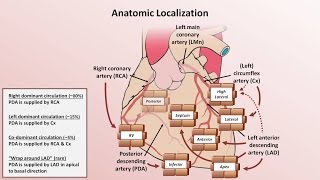 Intro to EKG Interpretation  Myocardial Infarctions Part 1 of 2 [upl. by Norty]