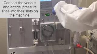 How to setup a dialysis Machine part II Hemodialysis Training [upl. by Alletsirhc]