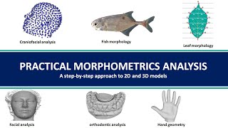 1 Morphometrics Analysis Understanding Morphometrics concept [upl. by Ystap386]