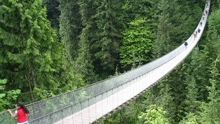 Vancouver North Shore Day Trip With Capilano Suspension Bridge and Grouse Mountain [upl. by Llerruj]