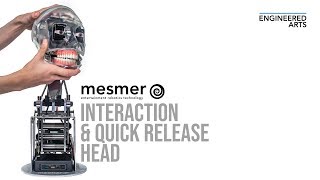 Mesmer 20 Interaction amp Quick Release Head [upl. by Nehemiah]