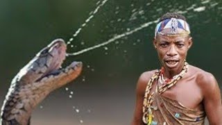 Hadzabe hunter gatherer confront the most feared Snake in Africa  BLACK MAMBA [upl. by Cedar737]