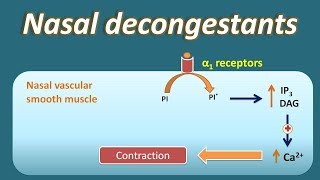 Nasal decongestant  How they act [upl. by Ellissa]