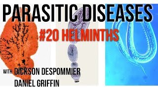 Parasitic Diseases Lectures 20 Helminths [upl. by Montagu239]