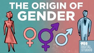 The Origin of Gender [upl. by Domela]