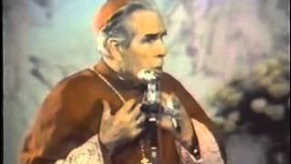 Wasting Your Life  Venerable Fulton Sheen [upl. by Ciapha315]