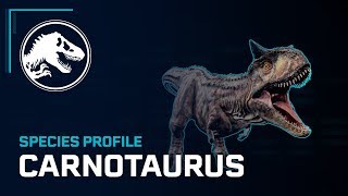 Species Profile  Carnotaurus [upl. by Orton]