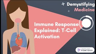 Immune Response Explained TCell Activation [upl. by Eilloh336]