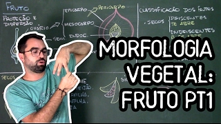 Organologia do Fruto Morfologia pt1  Aula 20 Botânica Prof Guilherme [upl. by Hallette406]