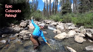 The TOP 10 fishing spots in Colorado  McFly Angler Fly Fishing [upl. by Uy]