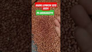 Kadiri lepakshi 1813Seeds [upl. by Ahser191]