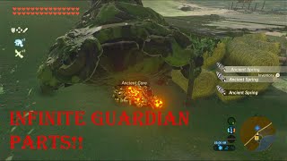 How To Farm INFINITE Guardian Parts in BOTW With Guardian Parts Glitch Works In 2021 [upl. by Souvaine]