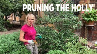 How to Prune Holly [upl. by Lipson]