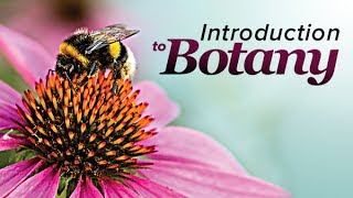 Plant Science An Introduction to Botany  Wondrium [upl. by Abbi919]