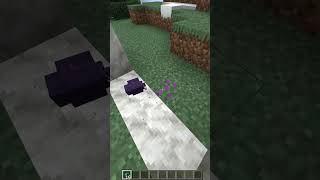 How to Spawn Endermite In Minecraft EASY TUTORIAL [upl. by Tolland199]