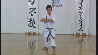 Shotokan  Heian Yondan [upl. by Edmea]