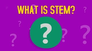 What is STEM [upl. by Arriaes73]