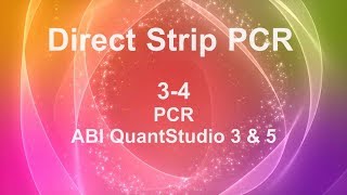 Direct Strip PCR  34 PCR  ABI QuantStudio 3 amp 5 [upl. by Derrej]