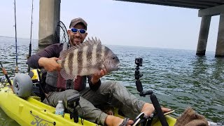 BRIDGE MONSTERS  Jumbo Sheepshead Fishing amp A SURPRISE CATCH [upl. by Haeel]