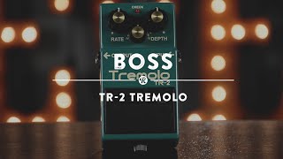 Boss TR2 Tremolo  Reverb Demo Video [upl. by Arriet]