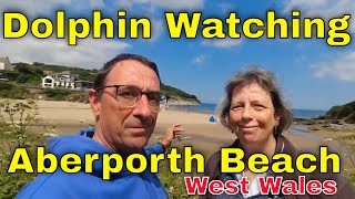 Dolphin Watching  Aberporth West Wales [upl. by Hach]