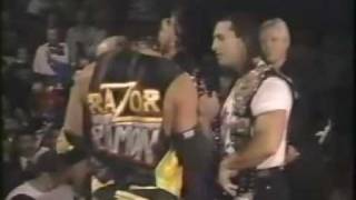 Bret Hart attacked by Razor Ramon and Ric Flair [upl. by Winou]