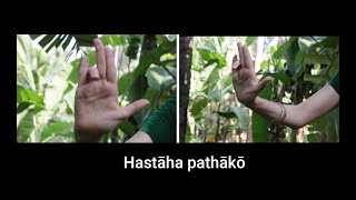 24 basic Mudras in Mohiniyattam with shloka Hastha Lakshana Deepika learn Indian dance easily [upl. by Yhcir350]