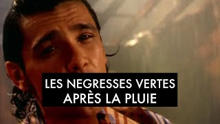 Les Négresses Vertes  Après La Pluie Clip Officiel [upl. by Eniamrahc]