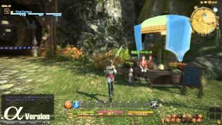 FINAL FANTASY XIV A Realm Reborn  Gridania Alpha [upl. by Llaccm945]