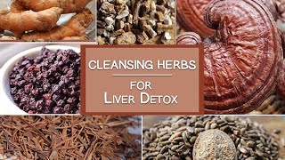 Cleansing Herbs for the Liver and More  Healing Herbs for Detoxification [upl. by Sucramd]