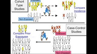 case control study vs cohort study Prospective  retrospective [upl. by Janette]