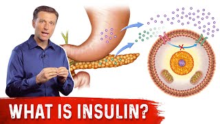 What Is Insulin – Dr Berg [upl. by Dowdell]