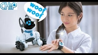 WowWee CHiP Robot Toy Dog [upl. by Celio544]