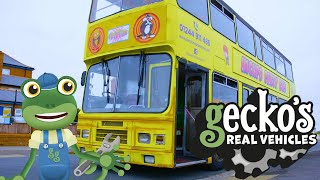 Gecko and the PARTY BUS  Geckos Real Vehicles  Educational Videos For Toddlers [upl. by Tuneberg34]