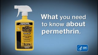 What You Need to Know about Permethrin [upl. by Elleined724]