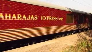 Maharajas Express  Luxury Train of India [upl. by Freedman436]