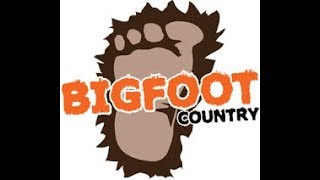 bigfoot song lyrics chasing bigfoot [upl. by Agnella475]