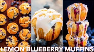 Easy Lemon Blueberry Muffins Recipe [upl. by Nwahs369]