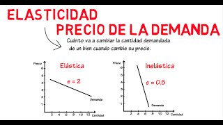 Elasticidad de la demanda  Cap 6  Microeconomía [upl. by Tilla]