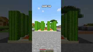 MINECRAFT  HOW TO AVOID TRAPS AT DIFFERENT AGE😍 SIGMA BOY minecraft shorts [upl. by Eeresed]