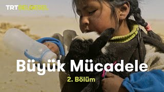 Büyük Mücadele  Bolivya  TRT Belgesel [upl. by Mather524]