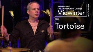 Tortoise  TNT Full Set  Midwinter 2019 [upl. by Elmira]