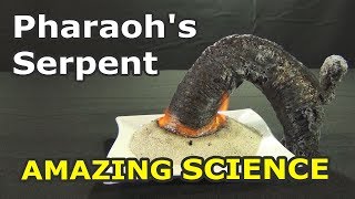 Pharaohs Serpent from Soda and Sugar  science experiment you can do at home [upl. by Anayhd409]